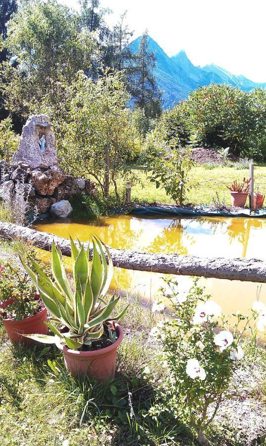 B&B Lo Scoiattolo Nebbiu Bagian luar foto