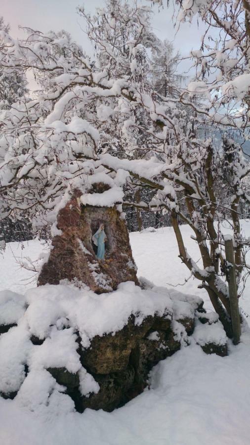 B&B Lo Scoiattolo Nebbiu Bagian luar foto