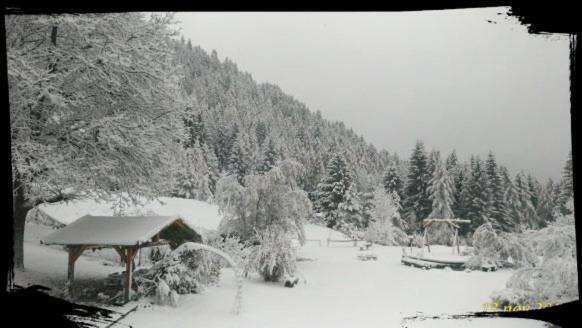 B&B Lo Scoiattolo Nebbiu Bagian luar foto